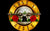 guns n roses